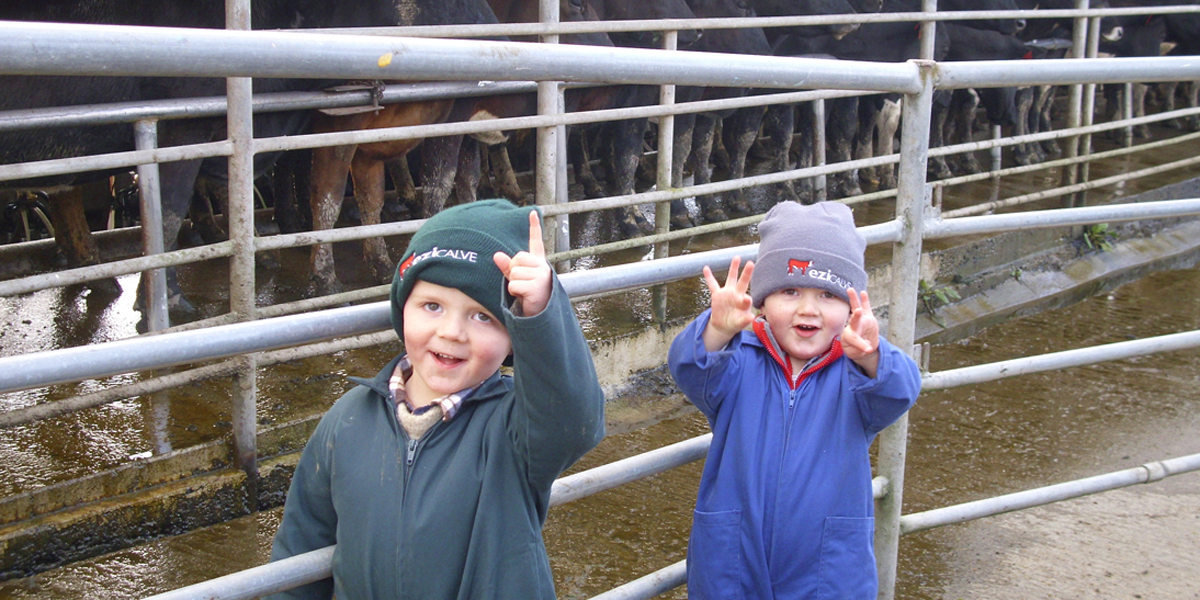 Dairy-Beef integration provides you and your family with more opportunities